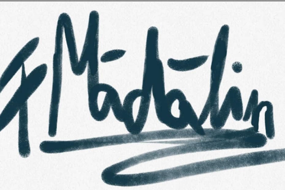 logo madalinflorea.ro